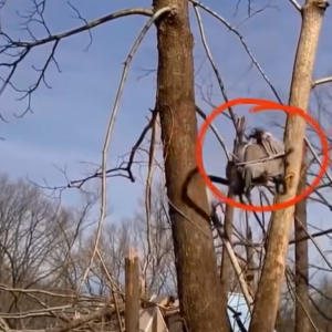 Tennessee Family Starts Over After Devastating Storm