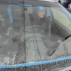 Weird Lines on My Car Brought an Unexpected Joy