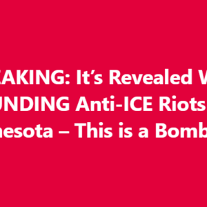 Report Reveals Who’s Behind Minneapolis’ ICE Resistance Movement