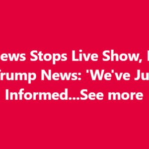 ABC Anchor Admits Truth As Trump’s DC Crackdown Yields Big Results