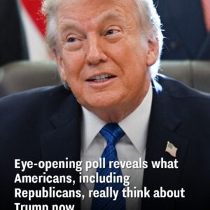 Poll Sheds Light on What Americans, Including GOP Voters, Really Think of Trump Now