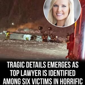 Tragic details emerge as top lawyer is identified among six victims in horrific plane crash