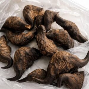 My Neighbor Gave Me a Bag of These — Here’s How I Discovered What They Were