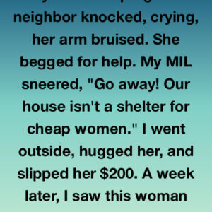 I Saw My Pregnant Neighbor In Pain And Ignored My Mother-In-Law’s Cruelty To Help Her, Only To Discover The Massive Secret She Was Keeping From Our Entire Street