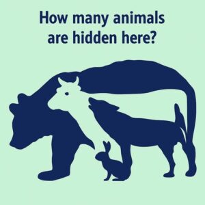 The first animal you see in this picture