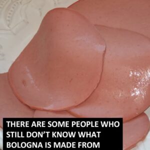 What is used to make bologna?
