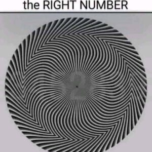 Find The Hidden Number.