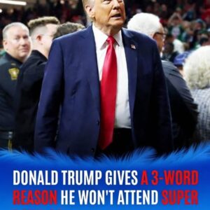 Inside the Controversy Surrounding Super Bowl 60 and Its Halftime Show