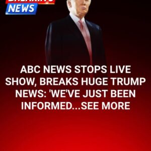 ABC Anchor Admits Truth As Trump’s DC Crackdown Yields Big Results