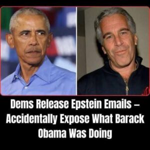 Newly Disclosed Records Offer Insight Into the Breadth of Jeffrey Epstein’s Professional and Social Associations