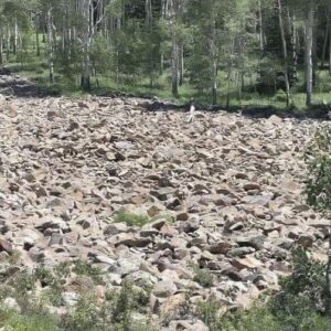 Test Your Observation Skills with This Clever Optical Illusion