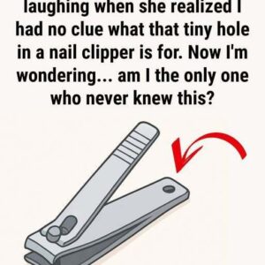 Why Your Nail Clipper Has That Small Round Hole and Why It Still Matters Today