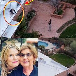 ROOFTOP CODE: Restored footage shows Nancy Guthrie went alone to the rooftop days earlier, trying to hide something at the top of a tree — when Savannah carefully checks, she discovers…