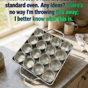 Mysterious Oven-Sized Rack Discovered in New Kitchen Sparks Questions From Homeowners