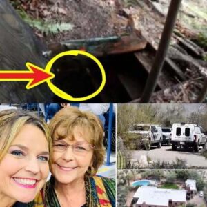 MIRACULOUS SURVIVAL IN A CAVE: After 7 days without food, Nancy Guthrie is allegedly found drinking water dripping from stalactites — her first words: “Don’t trust…”