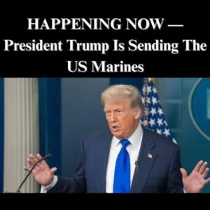 Trump Admin Sending Hundreds of Marines to Florida to Help ICE