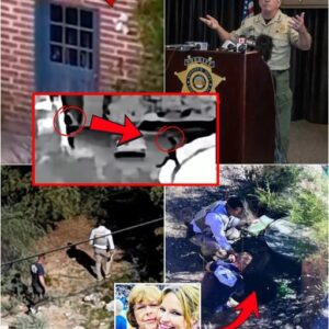 NEW EVIDENCE – A 10-year-old neighbor turns in a DRONE memory card in tears, I was just filming pigeons, but I saw TWO PEOPLE carrying Nancy Guthrie that way, Police trace the flight path to a freshly dug pit with a LARGE SUITCASE placed neatly inside, when its opened