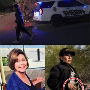 DESERT DISCOVERY: A GRAY Toyota Tacoma found abandoned in a remote canyon 30 miles from the Mexico border — inside, investigators uncover Nancy’s HEART MEDICATION blister pack and other disturbing items