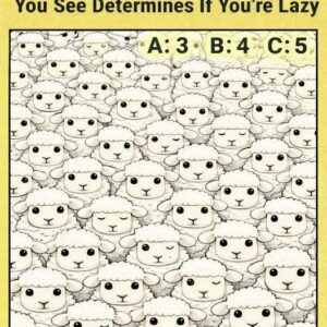 Only Sharp Eyes Can Spot All the Sleeping Sheep — Can You?