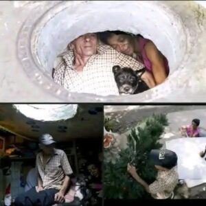 Breaking News: Family found in a… See more