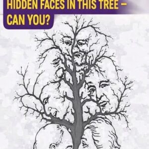 Only a Few Can Spot All the Hidden Faces in This Tree — Can You?