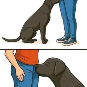 Did you know that if a dog smells