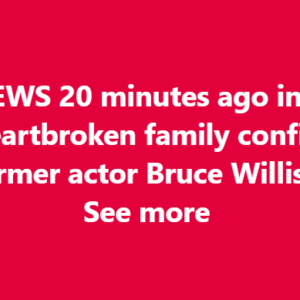 Bruce Willis Today: Family, Presence,