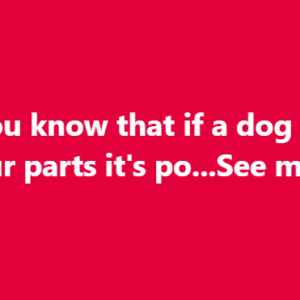 If your dog is sniffing your genital area,