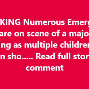 Stockton, California, A Childs Birthday Party Turns Into Chaos!