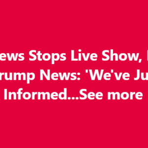ABC Anchor Admits Truth As Trump’s DC Crackdown Yields Big Results