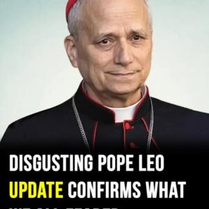 “Woke” Pope Leo XIV slamme