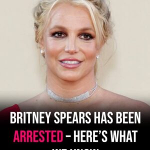 Britney Spears reportedly arreste