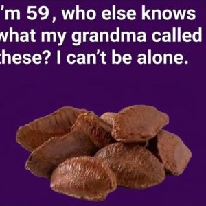 A Classic Homemade Dried Beef Recipe Inspired by Traditional Methods