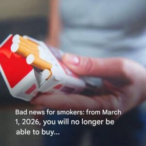 Price per pack of cigarettes – tax, margin and increase! See!