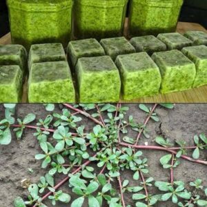 What Happens to Your Body if You