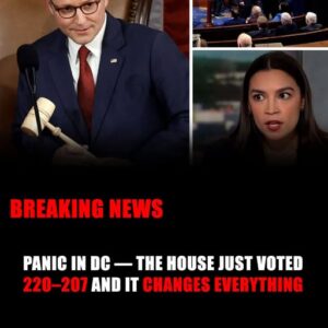 Democrats Who Crossed The Line