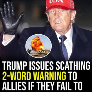 Trump’s 2-word warning to allies if they refuse to help open the Strait of Hormuz