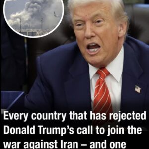 Every country that has rejected Donald Trump’s call to join the war against Iran – and one surprising country that agreed