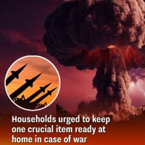 Household urged to keep one surprising item ready at home in case of war