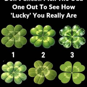 Simple Clover Puzzle