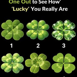 Don’t Ch:eat. Pick the Odd One Out to See How “Lucky” You Really Are