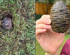 At First It Looked Like an Old Artifact, but It Was Actually This