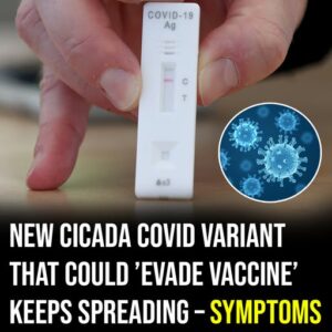 New Covid variant “Cicada” prompts vaccine concerns and symptom warnings