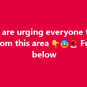 Police Urged Everyone to Stay