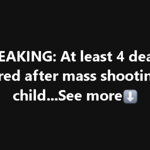 BREAKING: At least 4 dead, 10 injured