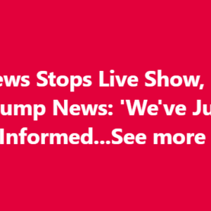 ABC Anchor Admits Truth As Trump’s DC Crackdown Yields Big Results