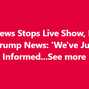 ABC Anchor Admits Truth As Trump’s DC Crackdown Yields Big Results