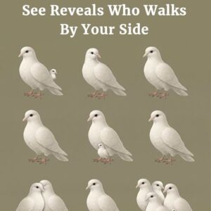 The Number Of Doves You See Reveals Who Walks By Your Side