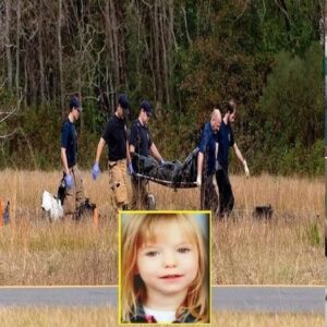 Missing Girl Found Safe—Investigators Reveal a Troubling Truth Behind Her Disappearance