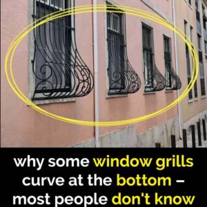 If you see window grills with a curve at the bottom here’s what it means